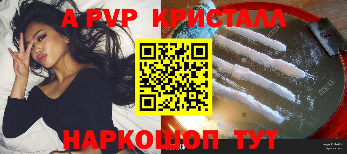 APVP СК Новосибирск