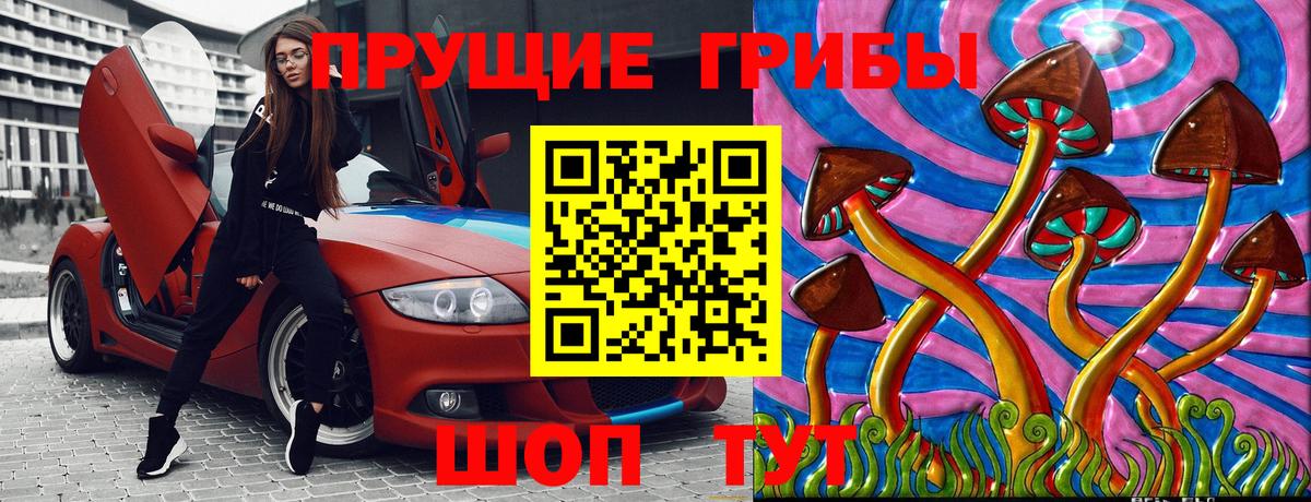 Псилоцибиновые грибы Psilocybine cubensis Новосибирск